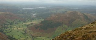 topharrison topharrison